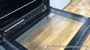 I cleaned my oven, shower and toilet with £1.69 item that made everything spotless
