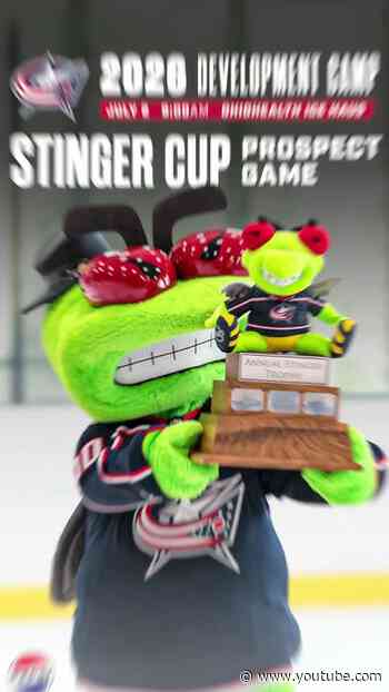 THE STINGER CUP RETURNS TOMORROW! 🏆