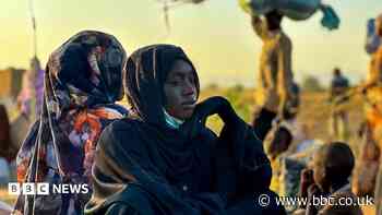 Sudan's RSF committed crimes against humanity in el-Fasher, Amnesty says