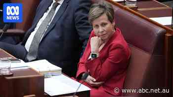 NDIS fraud 'gaps remain open' as integrity inquiry handed down