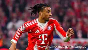 Rekordangebot für Bayern-Star Olise? Real Madrid lässt wohl nicht locker