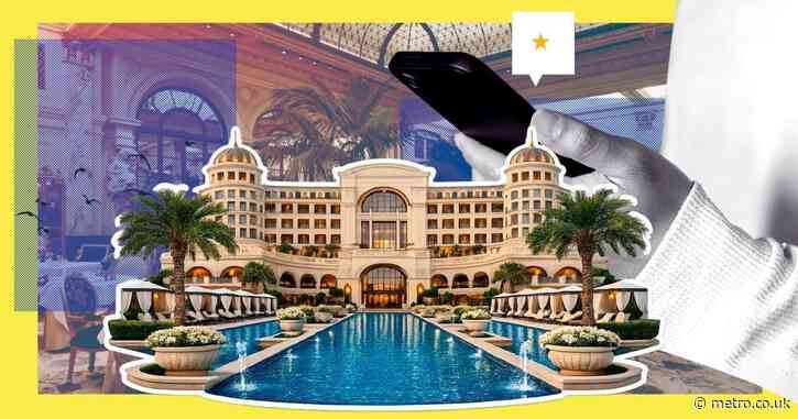 Tripadvisor’s AI gives glowing reviews to ‘dangerous’ hotels, new investigation finds