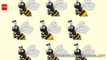 Can you spot the odd bee? This viral brainteaser claims only people with sharp vision can solve it quickly