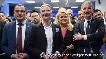 Die Extremisten-Klausel in der AfD wackelt – die Partei ringt um ihren Kurs