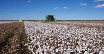 Irrigation property with excellent water sold soon after auction | Photos
