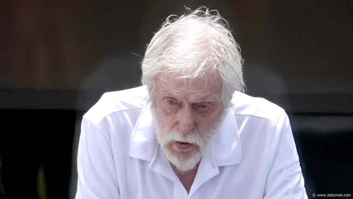 Dick Van Dyke, 100, leans on a walker as he enjoys rare public outing with wife Arlene, 54, in LA