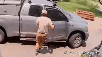 Bear breaks into truck, helps itself to handyman’s lunch