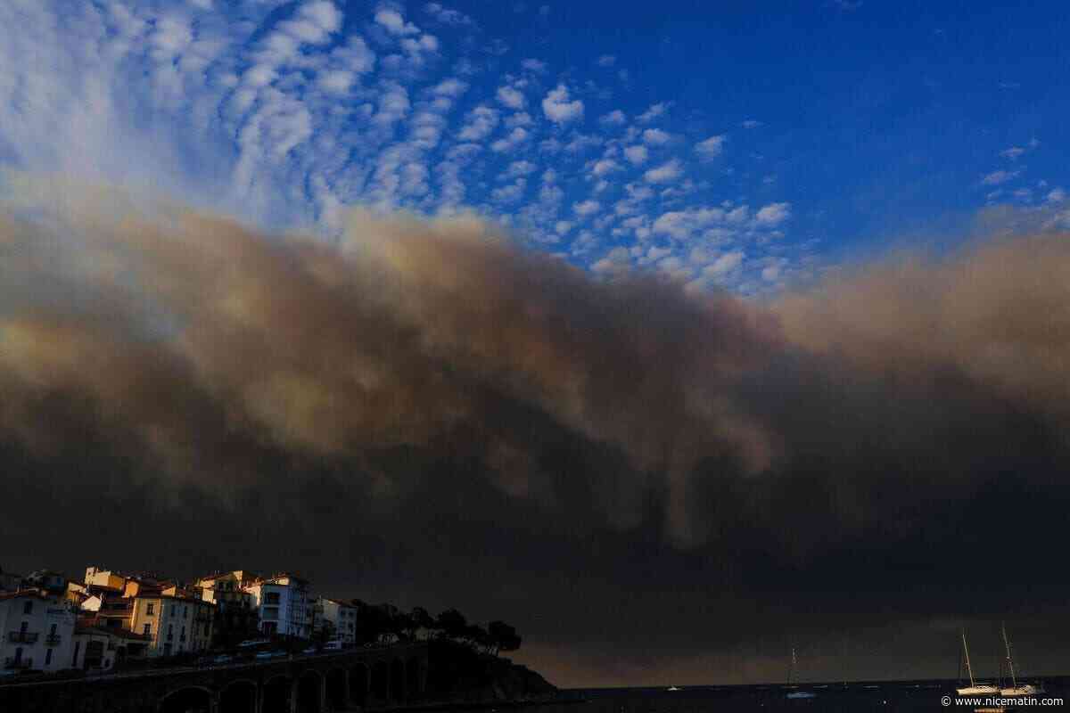 Un an après le méga-feu dans les Corbières, le sud de la France à nouveau frappé par un important incendie parti de l’Hérault