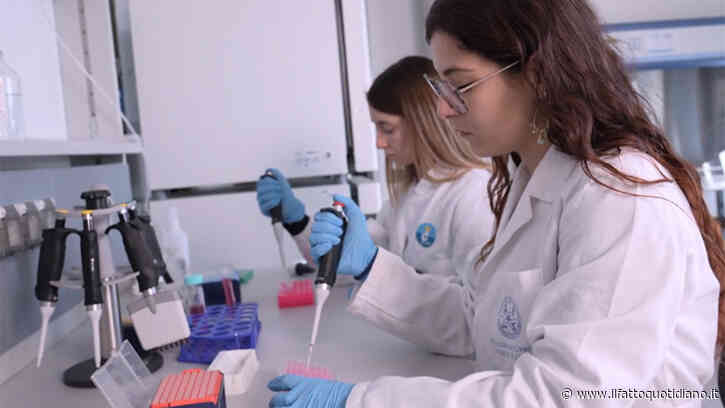 Cancro, oltre 1 milione di euro per i “robot biologici”: batteri progettati per viaggiare nel corpo umano e scovare i tumori