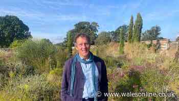 Monty Don's urgent summer gardening tip for your fruit trees