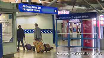 Brits warned over holiday souvenirs which could lead to arrest at airports