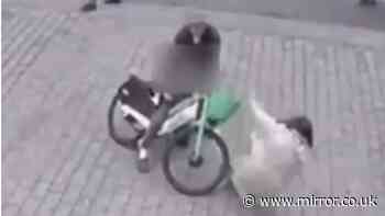 Horror moment woman hit by boy, 10, riding e-bike - 'my spine and my body split'