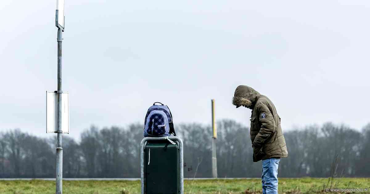 Politie registreert meer misdrijven waarbij asielzoeker verdachte is, vooral jonge mannen betrokken bij incidenten