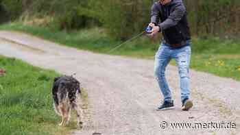 Hund bockt und will nicht weitergehen – was steckt dahinter, und was hilft wirklich?