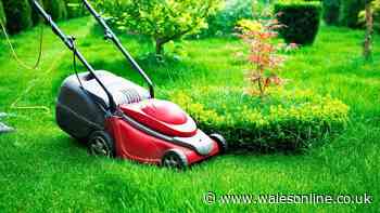 Lawns will be greener in hot weather if gardeners do 10-second task before mowing in July