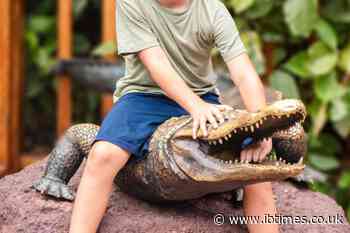 3-Year-Old Boy Rescued From UK Zoo Crocodile Enclosure Faces 'Extremely Challenging' Recovery
