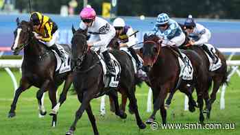 Tips and previews for racing at Rosehill on Saturday