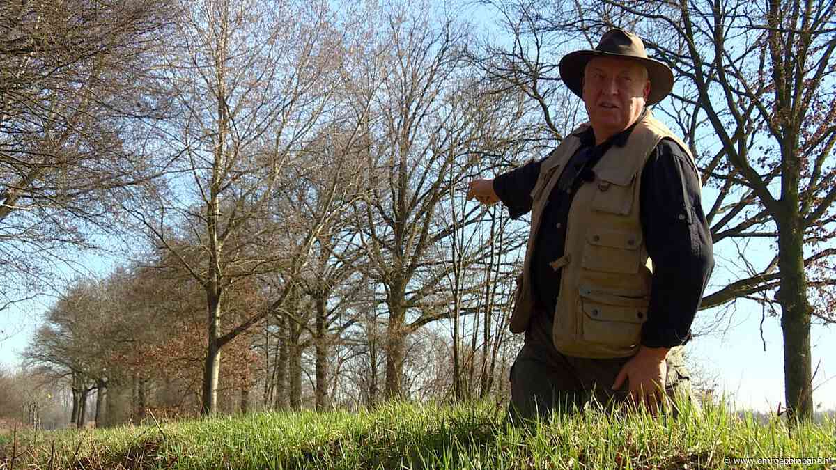 Helemaal gratis met je eigen privé-gids door de Brabantse natuur