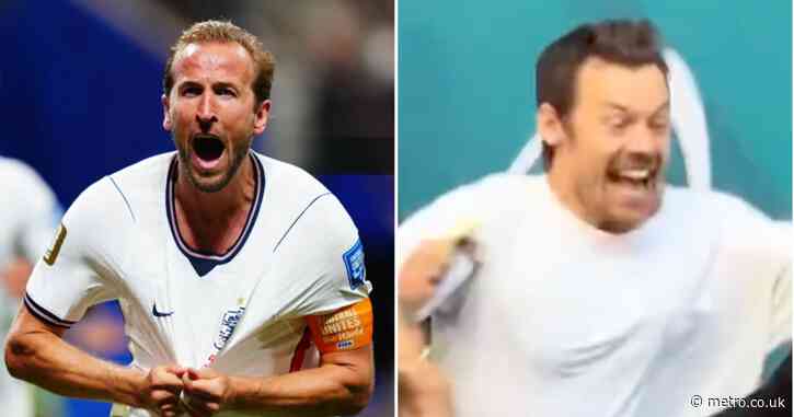 Harry Styles is all of us as he goes ‘mental’ for England World Cup win