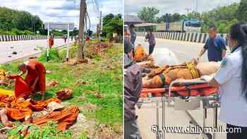 Eight Buddhist monks killed and dozens injured after boy, 11, runs them over in a truck