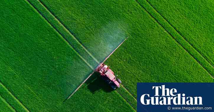EU-approved pesticide found to have potential effects on brain development