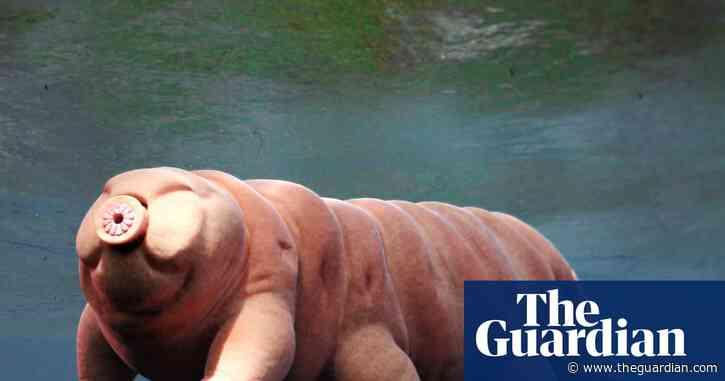 Nominate your invertebrate of the year