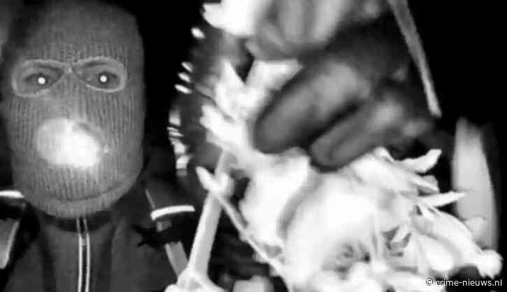 FBI twijfelt aan ontvoeringsmails rond 84-jarige moeder NBC presentatrice en eis miljoen