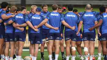 Australia and Ireland agree on one thing: the Wallabies can beat the Irish