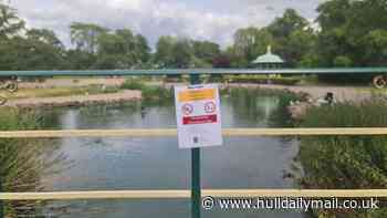 Warning as potentially toxic algae confirmed at Hull park