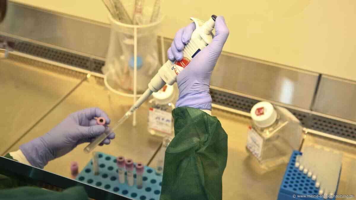 Hoffnung gegen Krebs: Forscher entschlüsseln Mechanismus für neue Medikamente