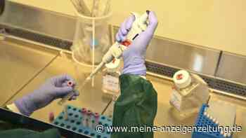 Hoffnung gegen Krebs: Forscher entschlüsseln Mechanismus für neue Medikamente