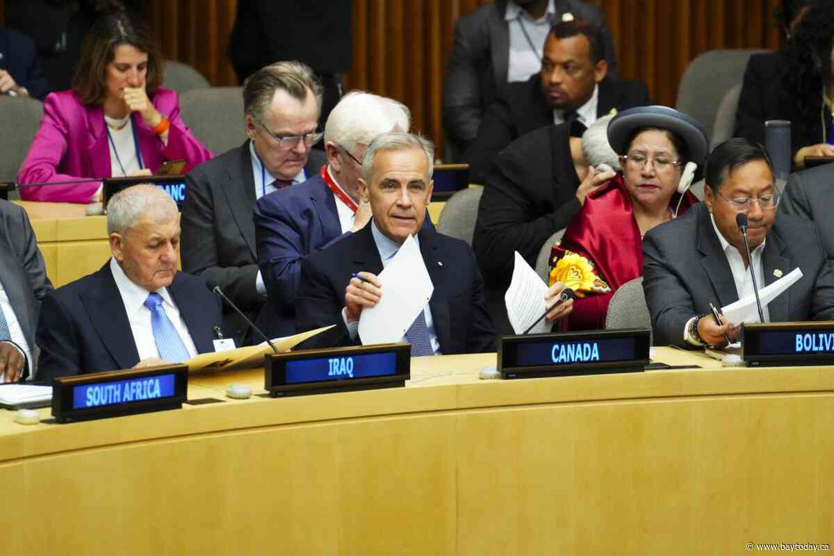 Ambassador says Carney's Davos speech is being put into practice at UN