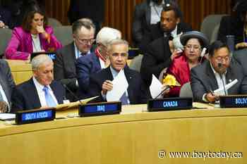 Ambassador says Carney's Davos speech is being put into practice at UN
