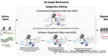 Rewriting genetic medicine