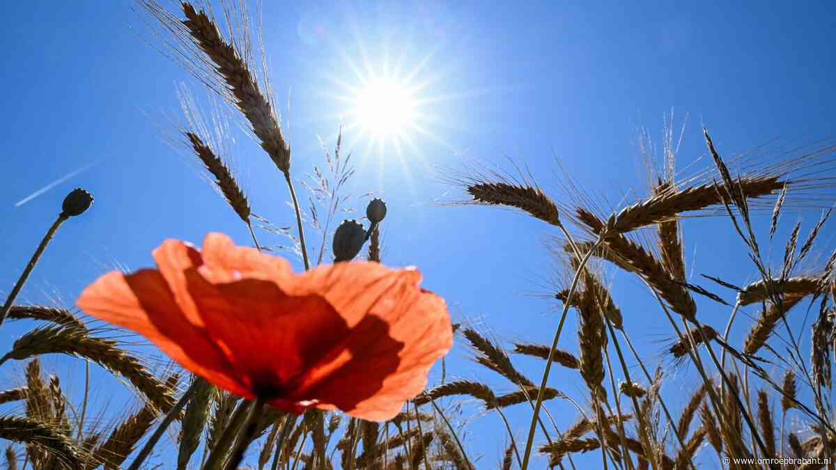Na extreem heet weekend is het komende dagen lekker koel