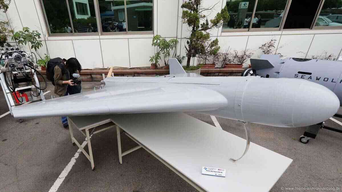US-Diplomat: Taiwan muss „Hornissennest“ aus Drohnen werden