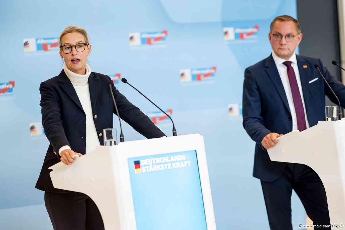 AfD-Parteitag in Erfurt: Darum geht es am Wochenende