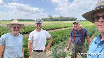 Ontario farmers embrace extreme heat after weeks of storms, hail damage crops