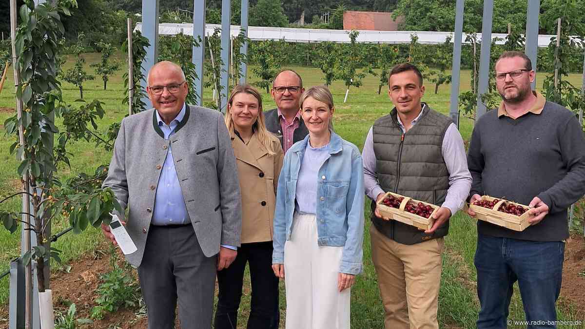 Landkreis Forchheim startet neue Forschungskooperation zur Agri-Photovoltaik