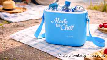 'Lightweight' cool box 'perfect for beach days' now £17 in double discount deal
