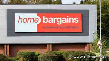 Skin looks 'sun-kissed' using £9 Home Bargains cream worth £39