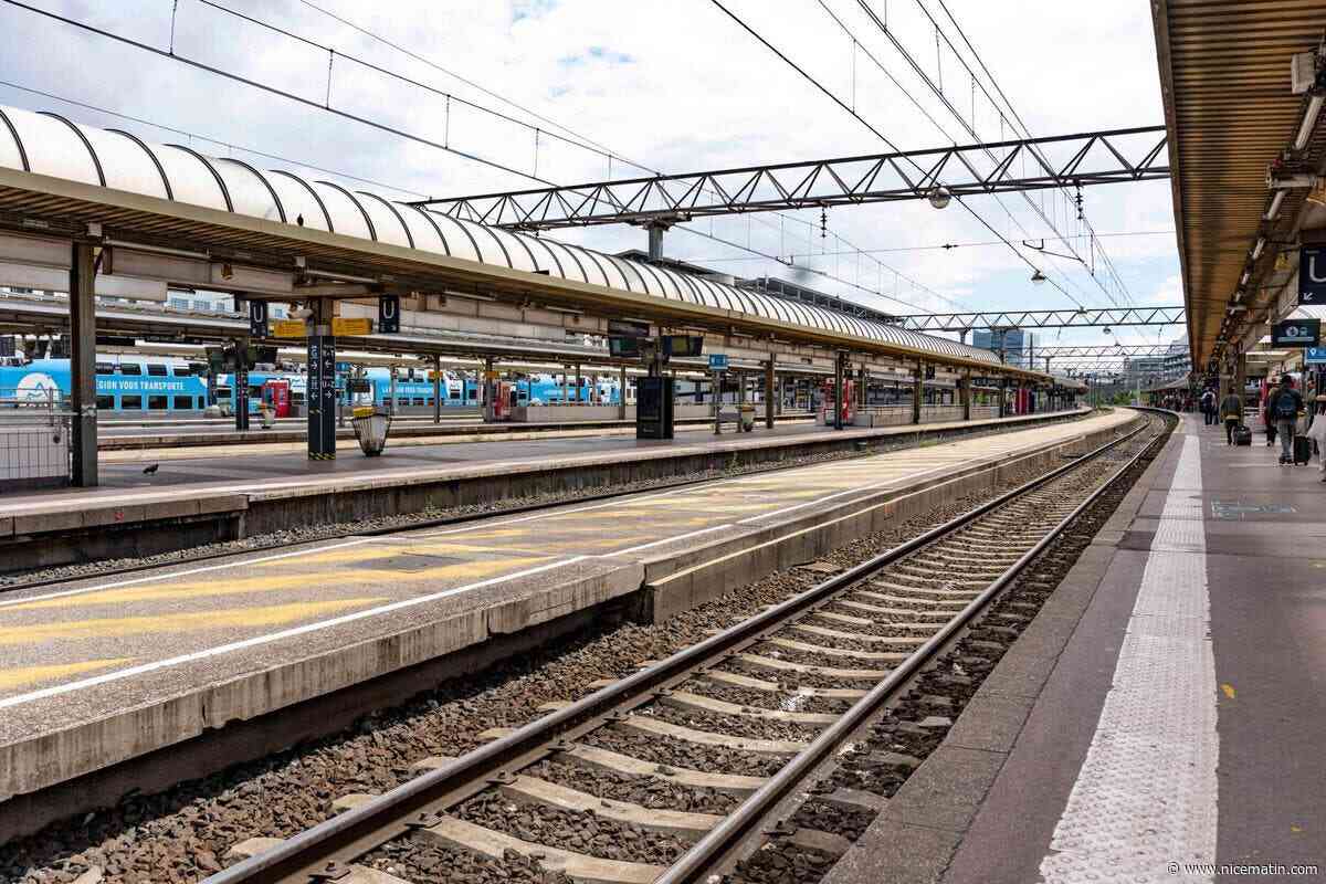 « J’ai le coeur brisé » : la SNCF retarde le départ du TGV, son chat meurt écrasé sur les rails à Paris