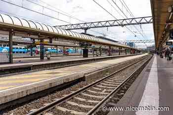 « J’ai le coeur brisé » : la SNCF retarde le départ du TGV, son chat meurt écrasé sur les rails à Paris