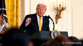 FOR INSIDERS: Trump sees opportunity on birthright citizenship in Brett Kavanaugh opinion