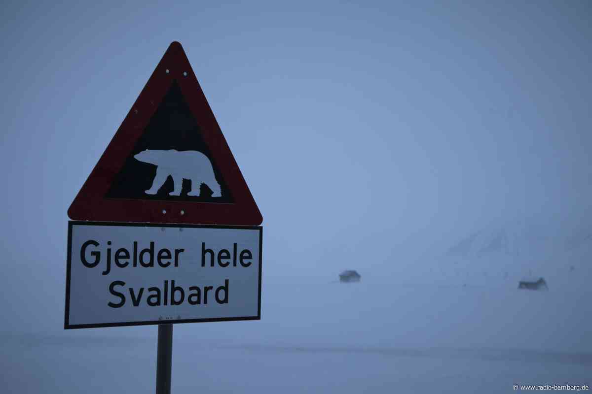 Spitzbergen: Eisbär wegen Gefahr für Reisegruppe erschossen