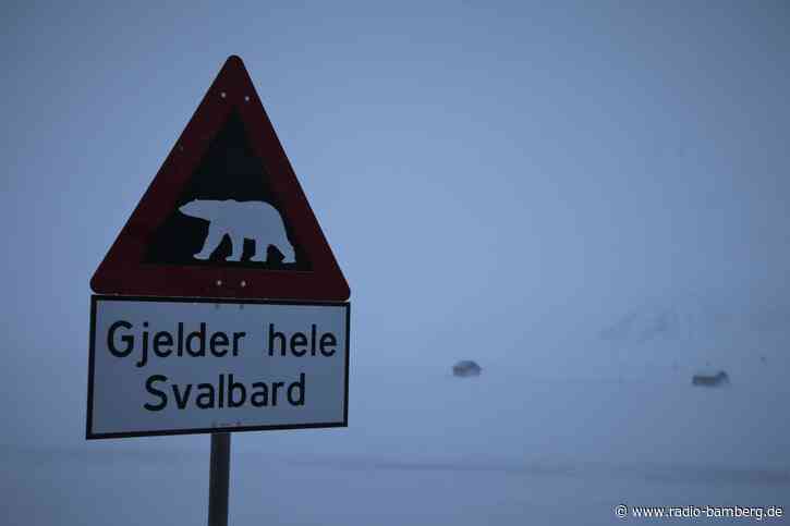 Spitzbergen: Eisbär wegen Gefahr für Reisegruppe erschossen