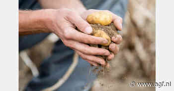 Scandinavische aardappelveredelaar Karmark wordt Europlant Scandinavia