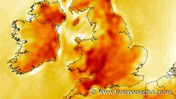 UK weather maps show heat surge next week after June heatwave