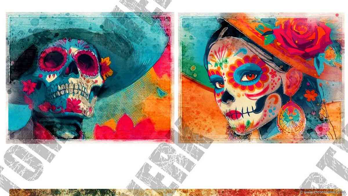 First glimpse of vibrant artwork firing up Mexican vibe of  Newcastle's newest restaurant