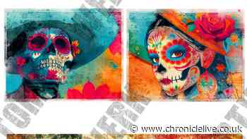 First glimpse of vibrant artwork firing up Mexican vibe of  Newcastle's newest restaurant